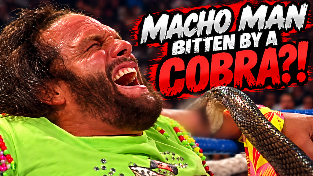 SCS Presents: The Real Snake Bite That Almost Ended Macho Man Randy&nbsp;Savage